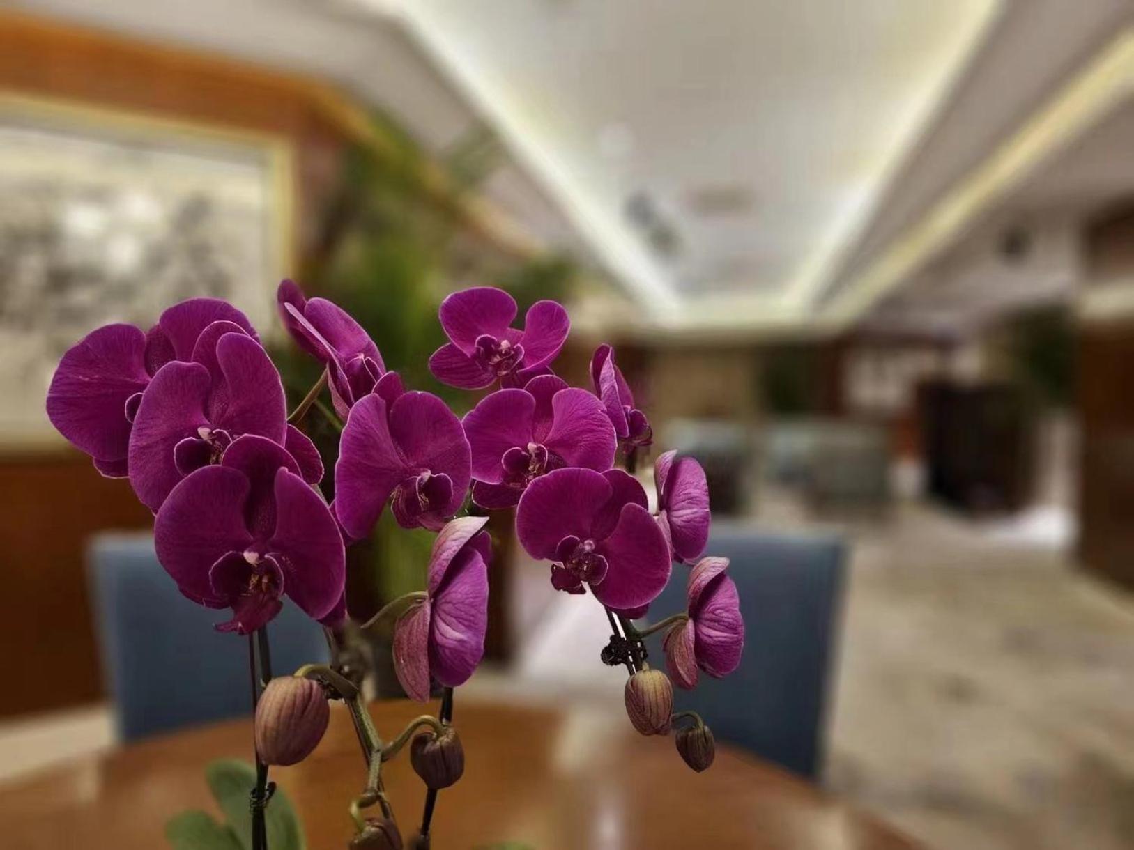 Regent Beijing Otel Dış mekan fotoğraf